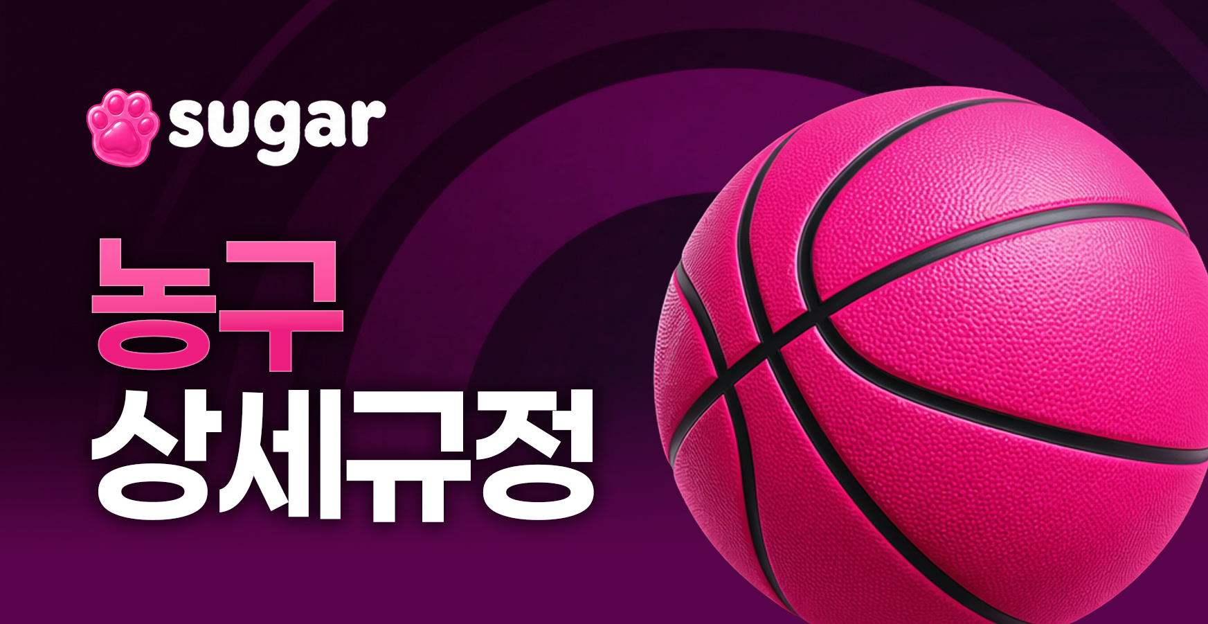 스포츠 규정